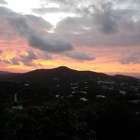 Caribbean Splendor With Million Dollar Views Villa Christiansted Exteriör bild