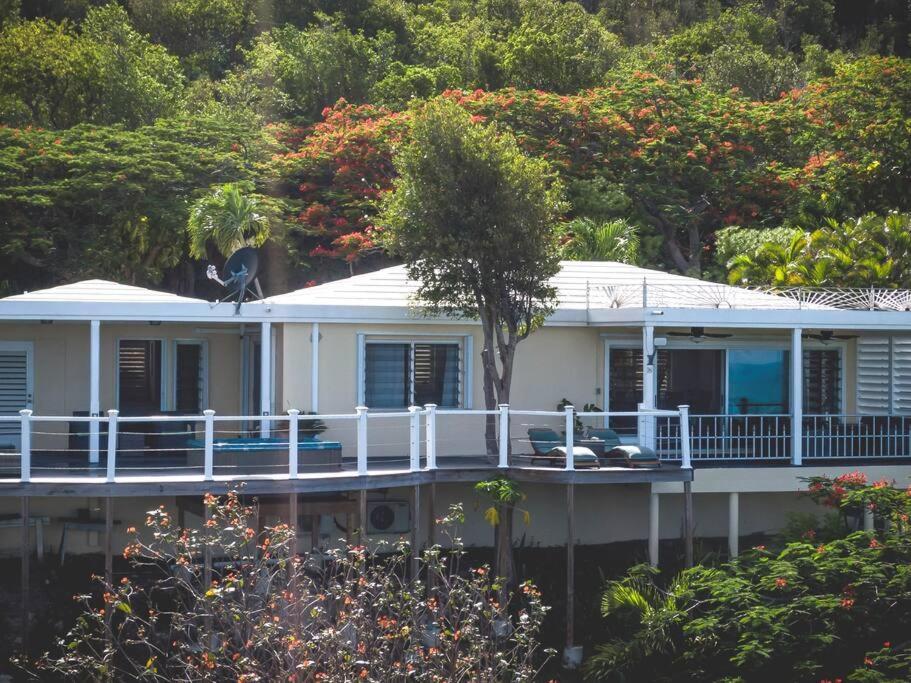 Caribbean Splendor With Million Dollar Views Villa Christiansted Exteriör bild